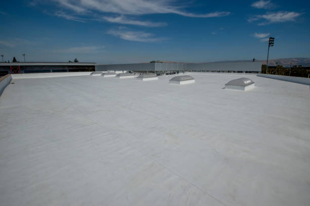 Best Asphalt Shingle Roofing  in Palmer, TX