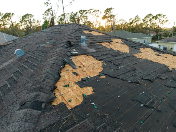 Best Rubber Roofing (EPDM, TPO)  in Palmer, TX