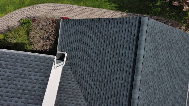 Best Green or Eco-Friendly Roofing Solutions  in Palmer, TX