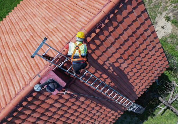 Asphalt Shingles Roofing in Palmer, TX